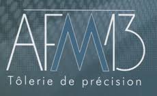 AFM13